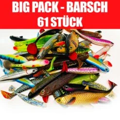 Jackson Big Pack Profi Barsch Angelset 6 Bis 10cm – Gummifisch Set – 61 Stück