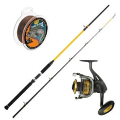 WFT Schnur & Rute 3,00m 250-1000g & Black Cat Rolle Waller Wels Angelset Combo